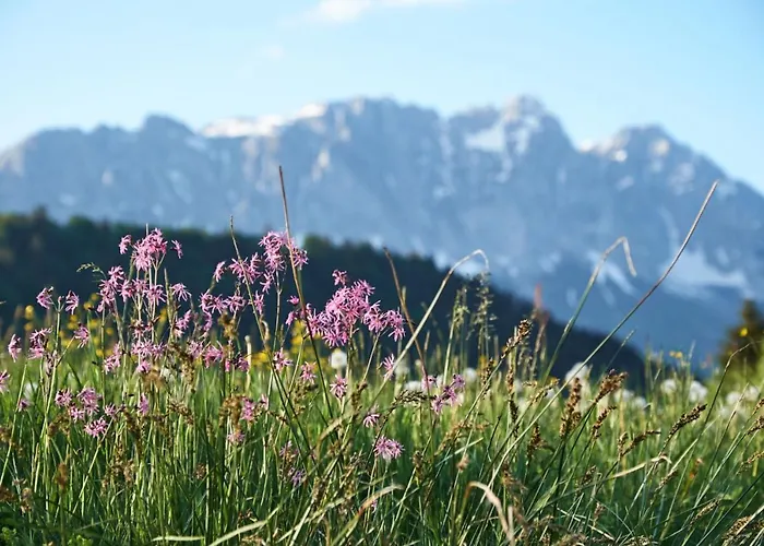 בית נופש - - Mit Liebe Dekoriert Oblarn