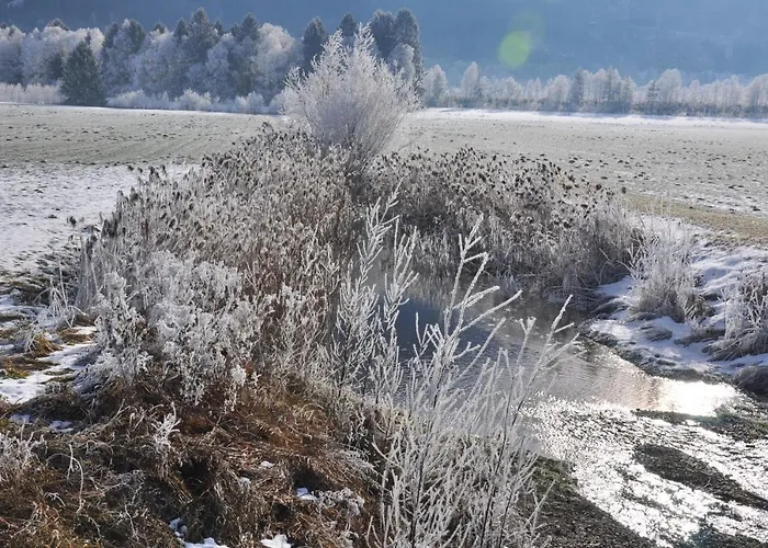 Vakantiehuis - - Mit Liebe Dekoriert *